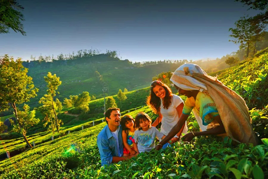 Ooty Tour Package